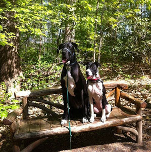 Meet your Posher, Lindsey